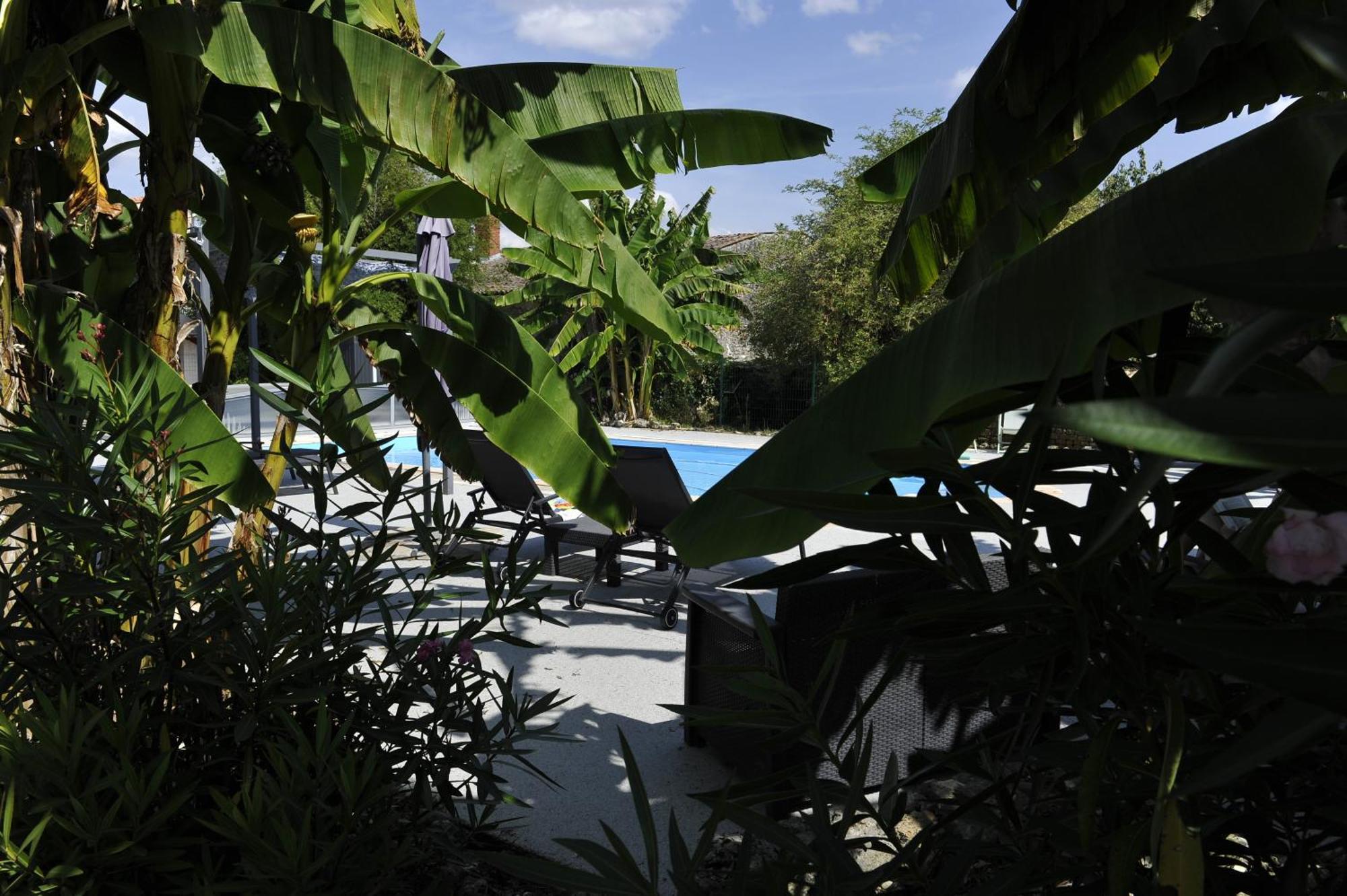 Gites Jardin-Darcy - Piscine Au Sel Bois ภายนอก รูปภาพ
