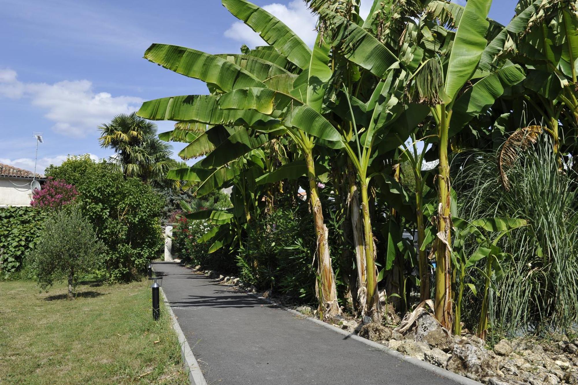 Gites Jardin-Darcy - Piscine Au Sel Bois ภายนอก รูปภาพ